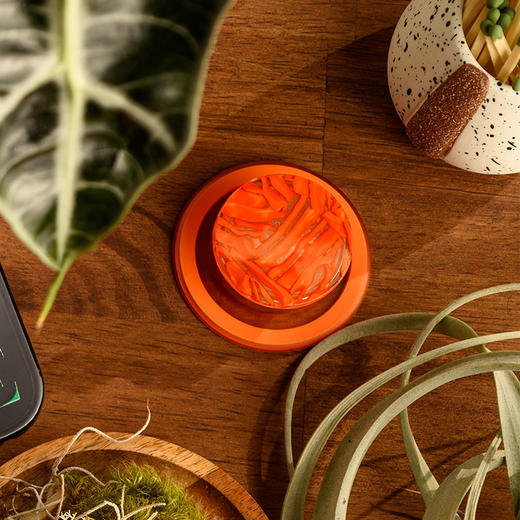 【植物行者】红岩·MagSafe圆啪嗒 MAGSAFE磁吸手机气囊支架 Round圆啪嗒系列 红色 商品图1