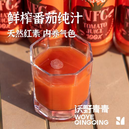 （新鲜的番茄汁回来喽！） 沃野青青鲜榨番茄纯汁 258ml/瓶*6 有机番茄NFC鲜榨 商品图1