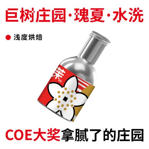 捌比特 萨尔瓦多 巨树庄园 瑰夏水洗 浅烘焙 精品手冲咖啡豆 100g 商品图1