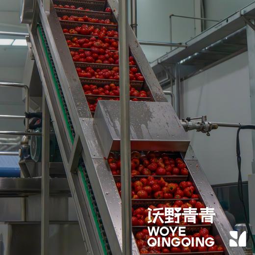 （新鲜的番茄汁回来喽！） 沃野青青鲜榨番茄纯汁 258ml/瓶*6 有机番茄NFC鲜榨 商品图7