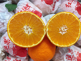 活动爱媛果冻橙5斤