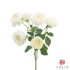 嘉荷多头- 白巧芝士10枝一扎 商品缩略图3