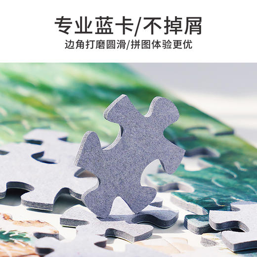 TOi图益-潮玩拼图馆藏系列-大碗岛的星期天-1000片-分包款 商品图2