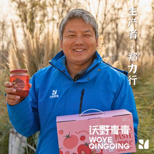 番茄原汁酱 480g/瓶 有机番茄鲜榨而成 商品图2
