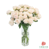 索菲  10枝一扎 商品缩略图2