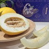 海南水果金美人蜜瓜5斤装 商品缩略图2