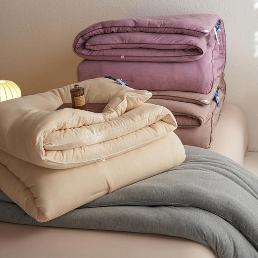 【换季出清】自然醒雪尼尔10A中科抗菌被被子被芯单人双人被LFS 商品图1