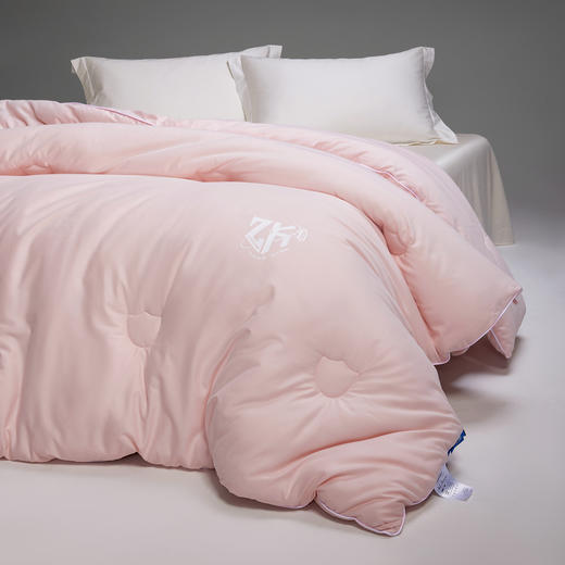 【换季出清】自然醒60支全棉磨毛10A中科抗菌被子被芯LFS 商品图2