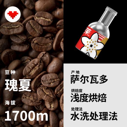 捌比特 萨尔瓦多 巨树庄园 瑰夏水洗 浅烘焙 精品手冲咖啡豆 100g 商品图3
