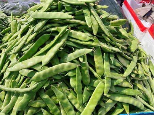 油豆角2斤 商品图0