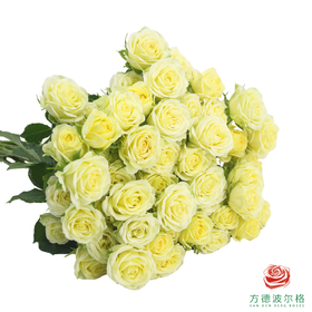 婚礼邀请 10枝一扎