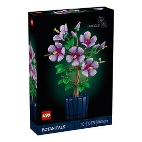 乐高LEGO 芙蓉LEGC10372