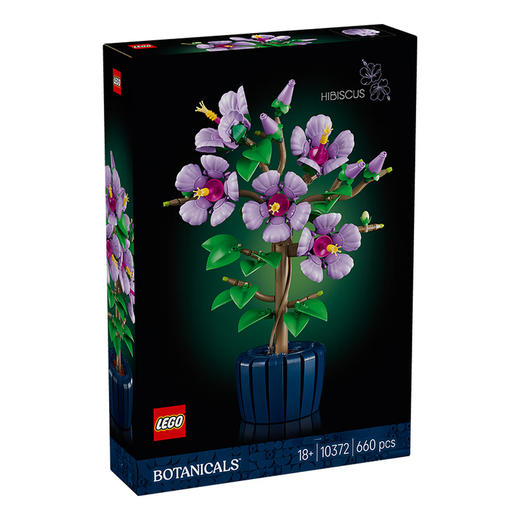 乐高LEGO 芙蓉LEGC10372 商品图0