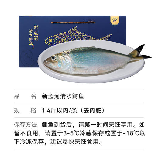 【直送到家】新孟河清水鲥鱼 鲜活出水 现捕现捞 多种规格实物礼盒包邮到家 商品图8