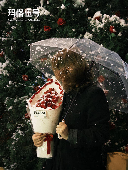 2025圣诞节鲜花-D款 商品图1