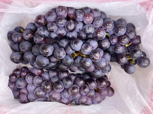 小箱蓝莓葡萄一箱 商品图1