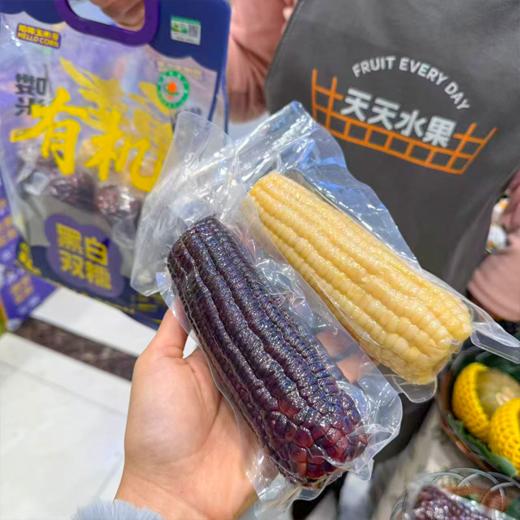 哈喽玉米 黑白双糯玉米 有机玉米更健康 商品图3