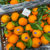 付氏脐橙 赣南脐橙 橙子 汁水多 商品缩略图3