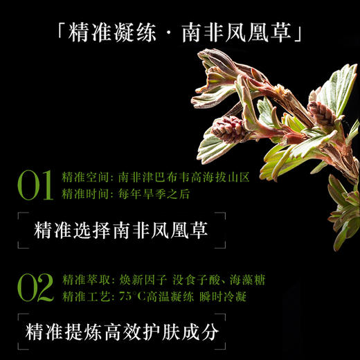 阿玛尼 黑钥匙绿精华紧致淡化细纹全脸抗老 商品图1