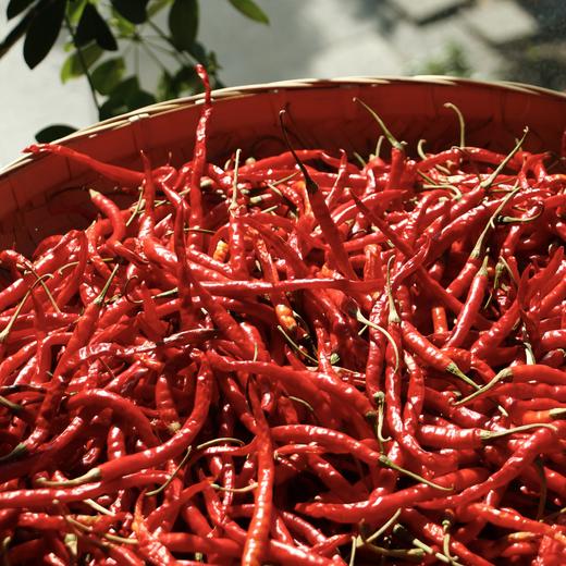 干辣椒20g｜静物自产 商品图0