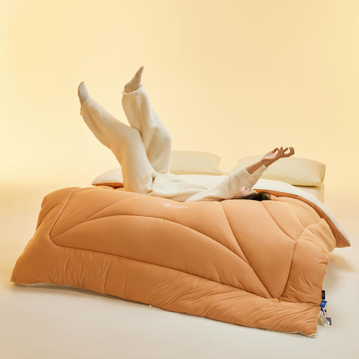 【换季出清】自然醒10A中科抗菌深睡云朵被子被芯MDL 商品图4