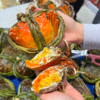 爆黄江苏红膏大闸蟹 有身份证的大品牌螃蟹  鲜活 收到后2小时内有问题可售后 过时不候 商品缩略图11