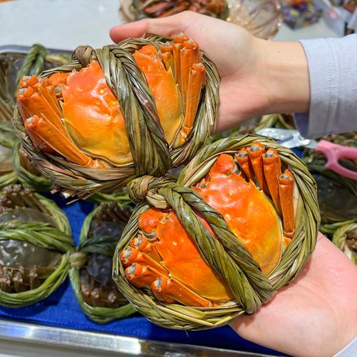 爆黄江苏红膏大闸蟹 有身份证的大品牌螃蟹  鲜活 收到后2小时内有问题可售后 过时不候 商品图4