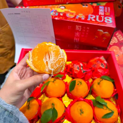金马鹿耙耙柑大件礼盒装   柑橘 纯甜 味浓 皮薄 商品图9