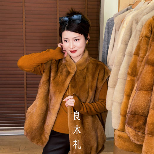 【预售7天】良木礼水貂马甲（D251103625F) 商品图1