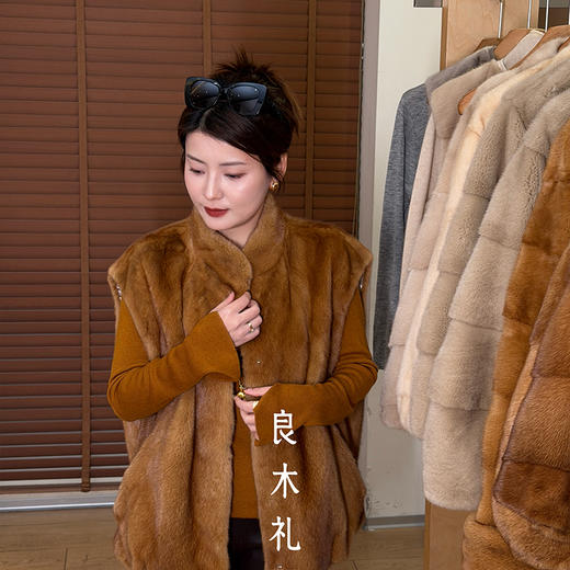 【预售7天】良木礼水貂马甲（D251103625F) 商品图0