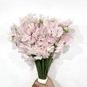 3月31日粉白豌豆花-50支易损花材，联系客服拍照发货发出没有售后