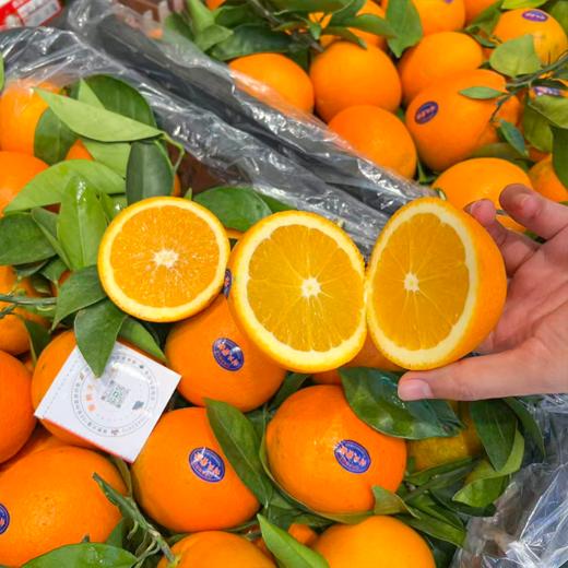 付氏脐橙 赣南脐橙 橙子 汁水多 商品图4