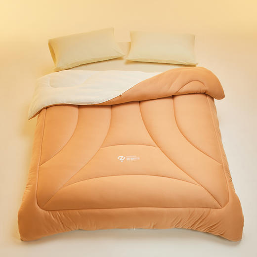 【换季出清】自然醒10A中科抗菌深睡云朵被子被芯MDL 商品图11