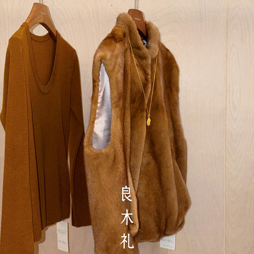 【预售7天】良木礼水貂马甲（D251103625F) 商品图3
