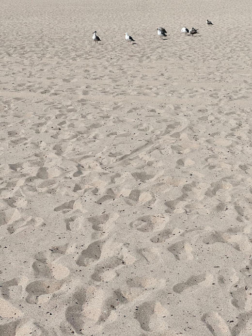 SpoiledBrat Jewelry珊瑚系列｜海蓝宝珍珠磷灰石不对称耳环 商品图8