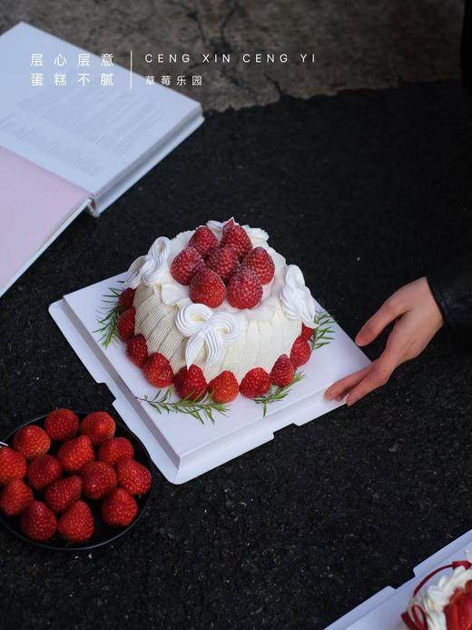 草莓乐园 商品图6