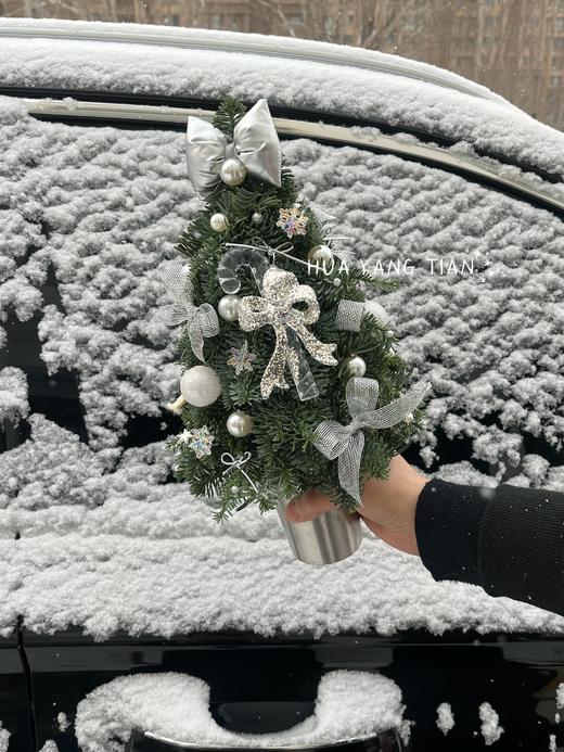 圣诞限定   初雪快乐 · 诺贝松圣诞树 商品图2