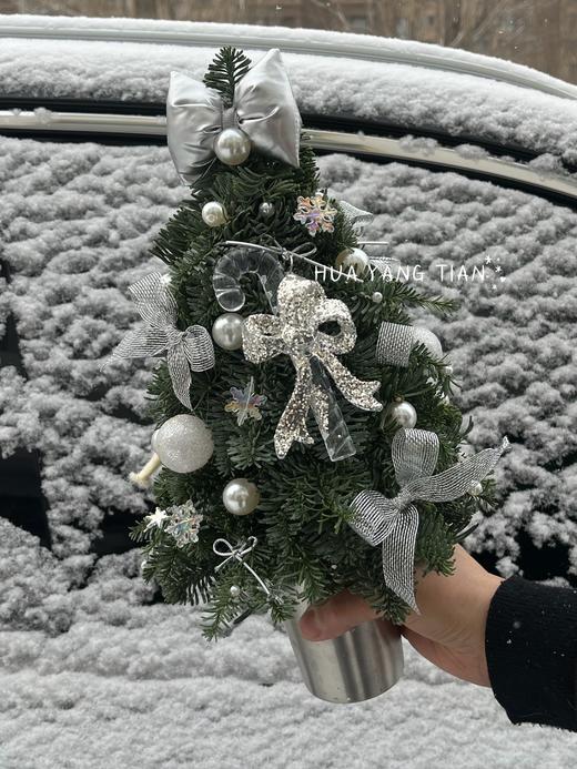 圣诞限定   初雪快乐 · 诺贝松圣诞树 商品图1