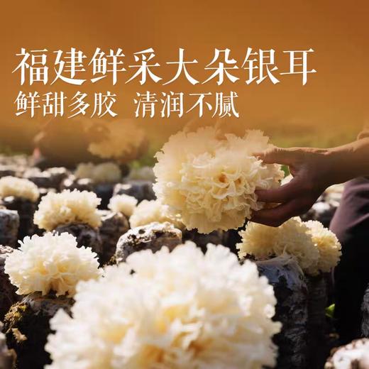 良品铺子鲜炖燕窝银耳羹200g 商品图2