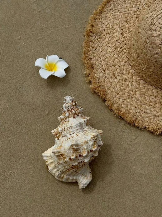 SpoiledBrat Jewelry珊瑚系列｜海蓝宝珍珠磷灰石不对称耳环 商品图2