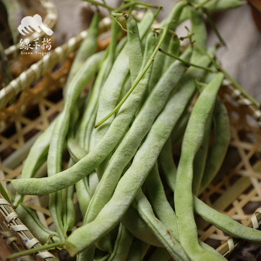 生态四季豆  | 合作生产 * Eco- green beans  | Partner Production 商品图3