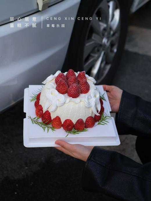 草莓乐园 商品图5