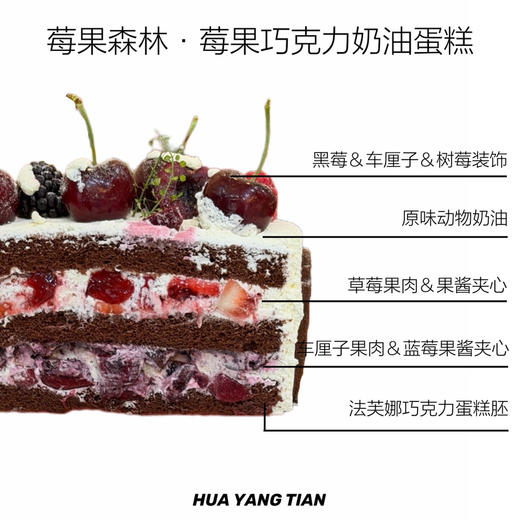 莓果森林 · 巧克力奶油蛋糕 商品图1