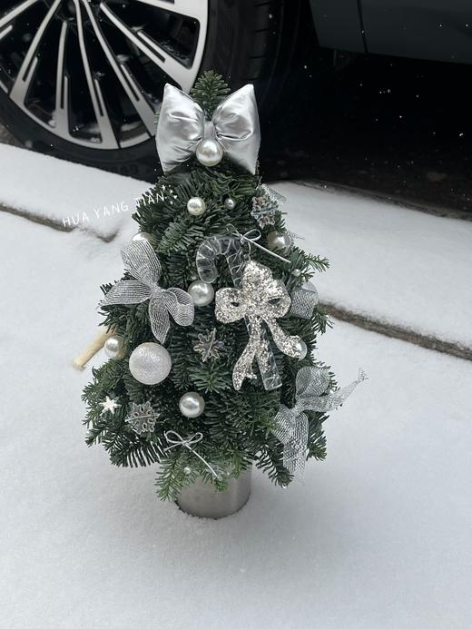 圣诞限定   初雪快乐 · 诺贝松圣诞树 商品图3