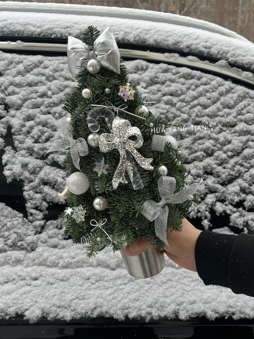 圣诞限定   初雪快乐 · 诺贝松圣诞树 商品图0