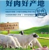 内蒙古乌珠穆沁草原羊(半羊卡5.25KG) 商品缩略图5