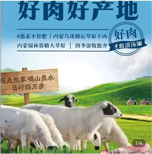 内蒙古乌珠穆沁草原羊(半羊卡5.25KG) 商品图5