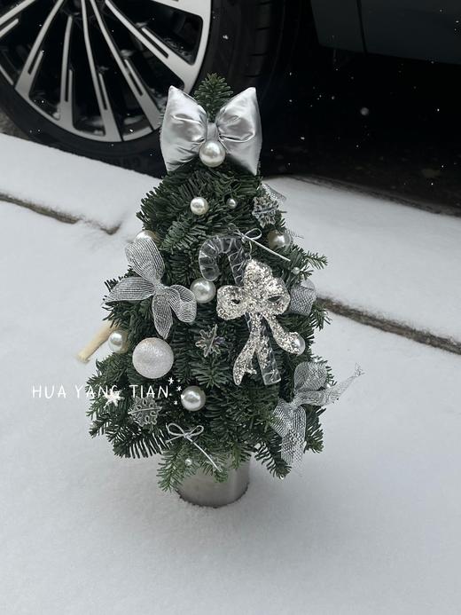 圣诞限定   初雪快乐 · 诺贝松圣诞树 商品图4
