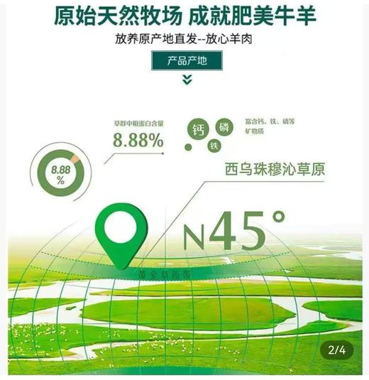 内蒙古乌珠穆沁草原羊(半羊卡5.25KG) 商品图6