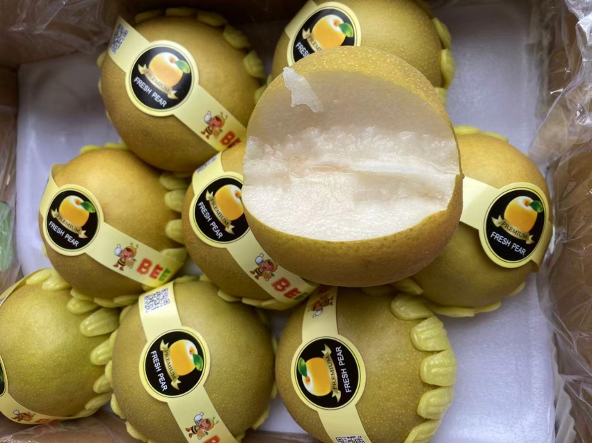 蜂蜜梨   脆甜口 梨果